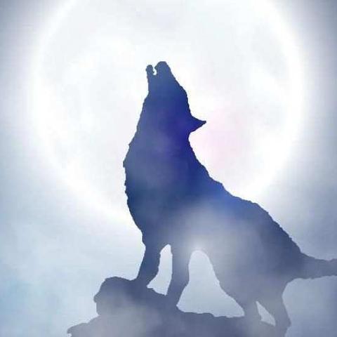 感恩6s，打造科室新风貌——创伤一科（副本）