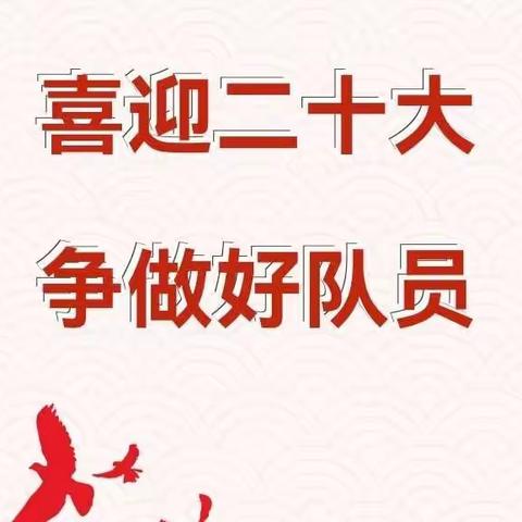 “喜迎二十大，争做好队员”——钦州市白石湖实验小学2022年第一批新队员入队仪式