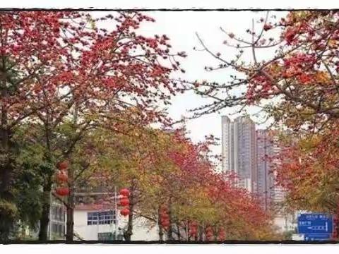 不负韶华，砥砺前行——五年级线上教学总结