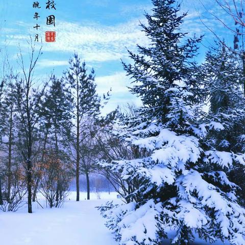 暴风雪后 校园美不胜收