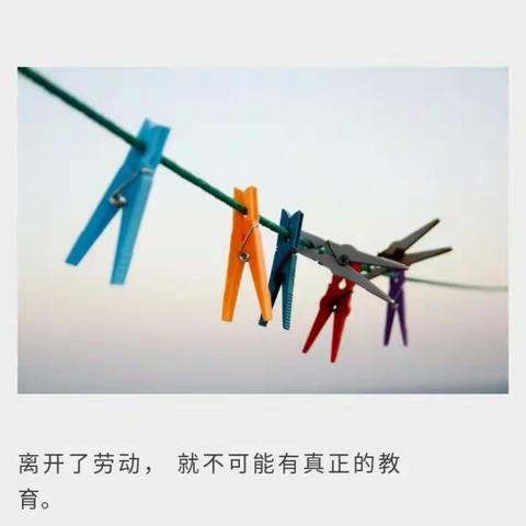 让培训赋能劳动教育新样态——兴庆区劳动教育专兼职教师赴深圳培训简报（第一期）