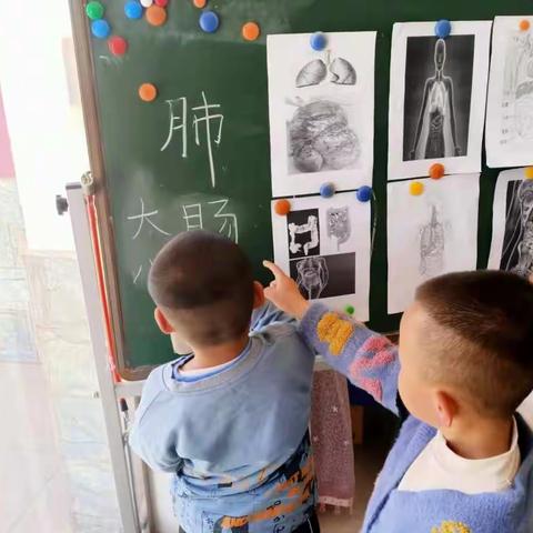 初步探索人体科学和自然科学的巧妙结合（两天的午夜的成果）