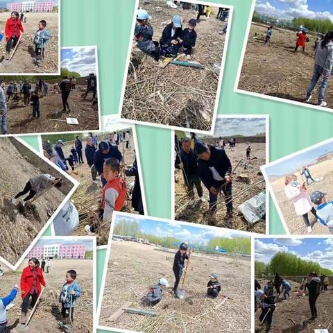 感受春天的生命