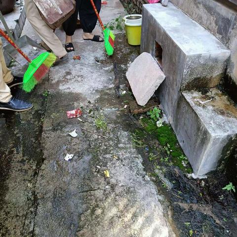 9月29日世禄巷社区开展人居环境大整治迎国庆