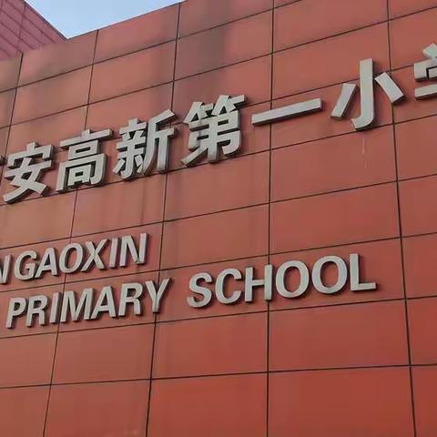 学习提升，一路前行——高新一小跟岗实习纪实（一）