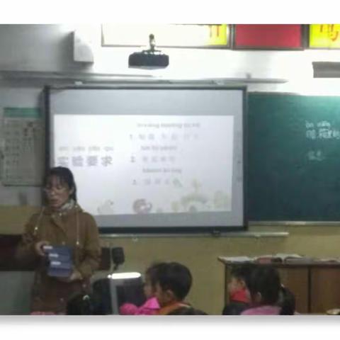 寓教于乐，科学课堂趣味多！——十九街小学科学课堂展示及评价活动