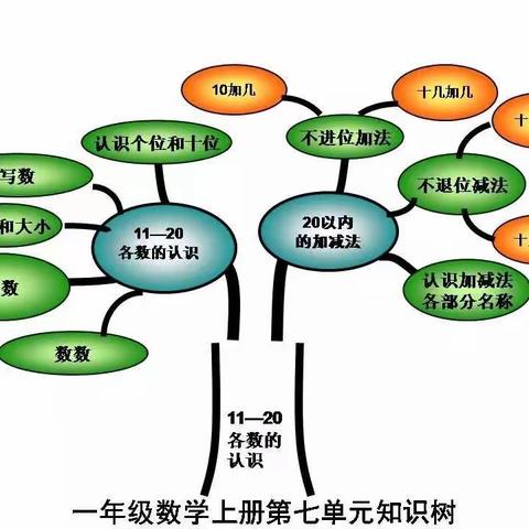 一(12)第一单元思维导图