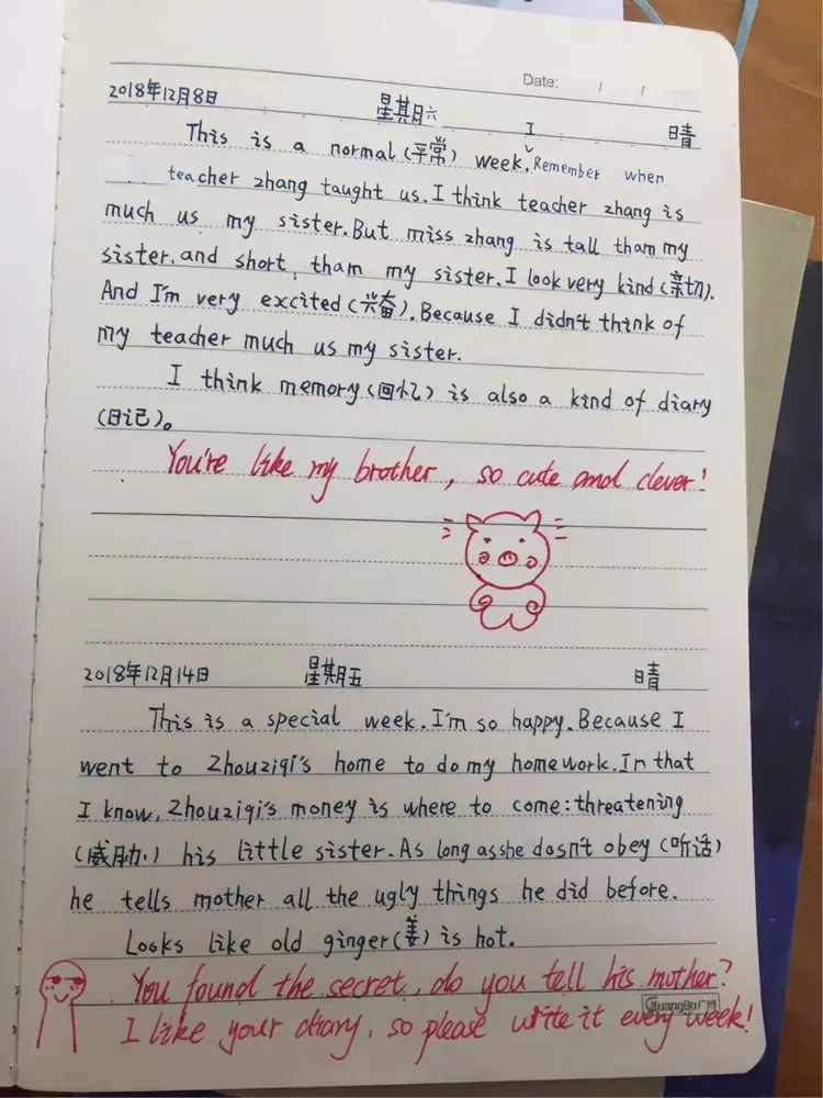 高中英语周记200字(高中英语周记200字怎么写)  第1张