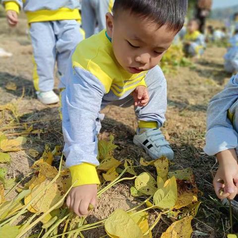 红旗幼儿园小一班第八周美篇