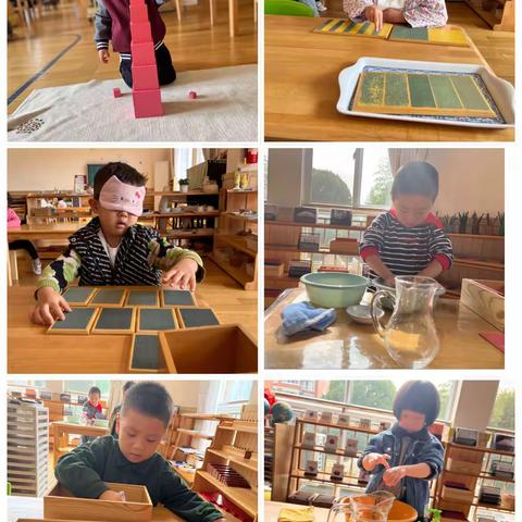 玉兰班11月班讯