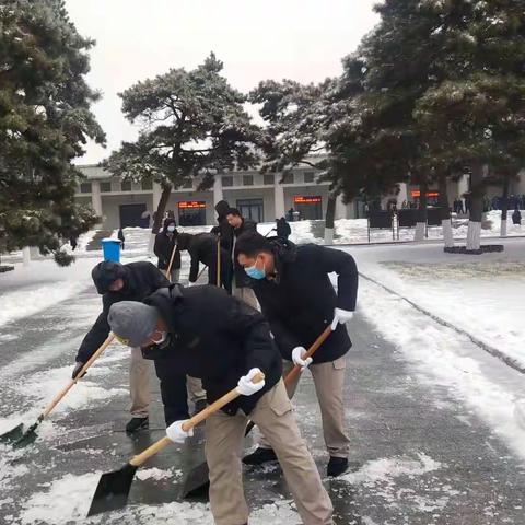 “以雪为令、闻雪而动”—— 殡葬中心积极开展清雪活动