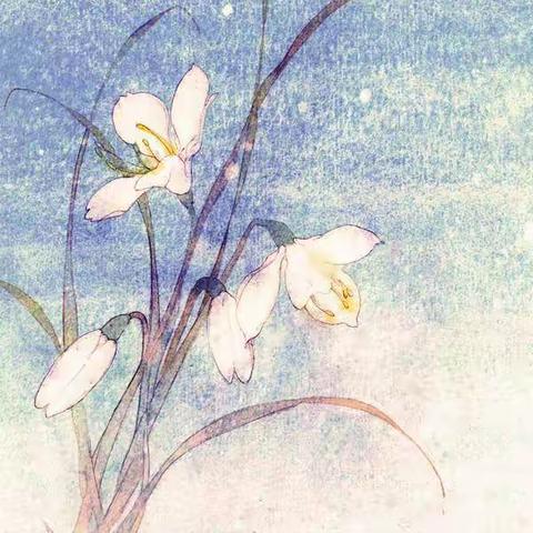 6月1日承德县规范书写校级指导教师优秀作业展示