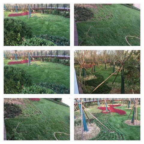 9月8号检查督查情况