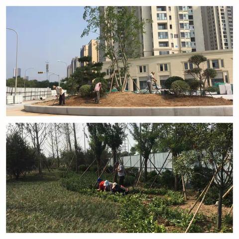 9月6日周考核情况