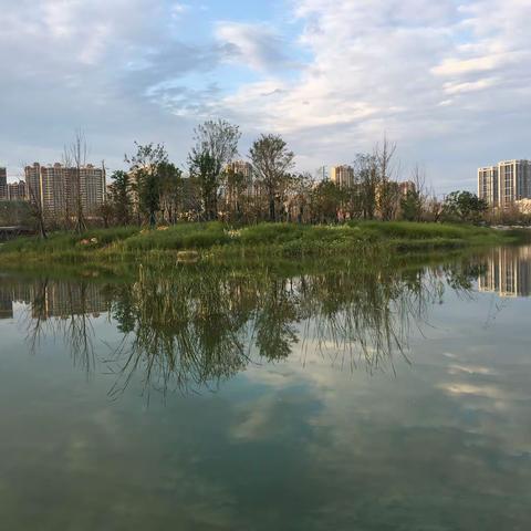 9月13日督查情况