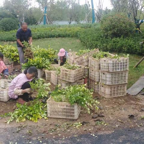 9月12日进度情况督查表（上午下雨）