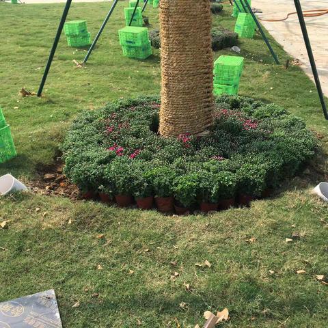 9月22日督查情况