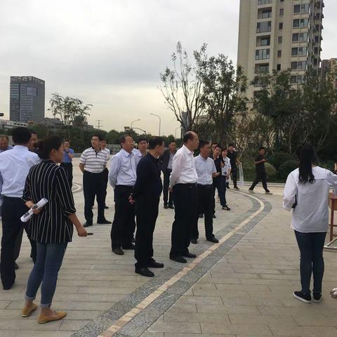 9月19日市长检查云锦湖公园