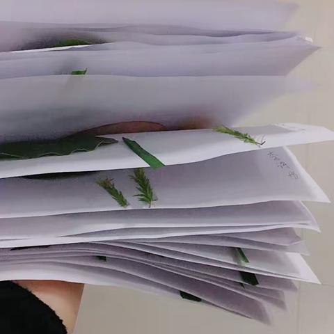 快乐做手工，成长伴我行