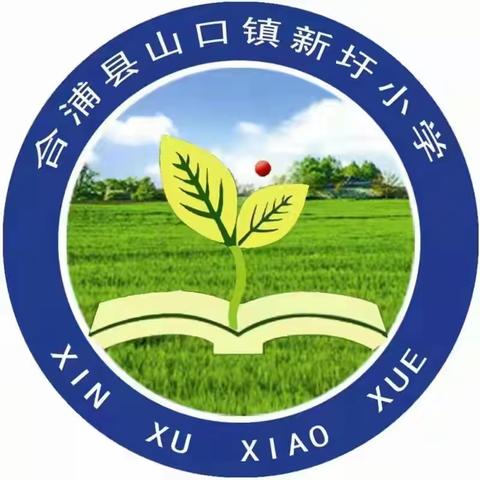 合浦县山口镇新圩小学少工委为龙木兰老师爱心募捐