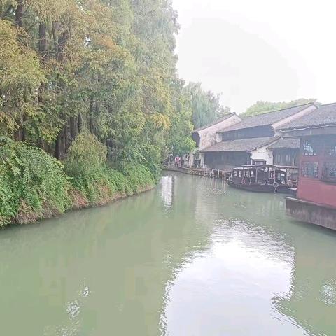 国庆细雨润乌镇，携女共赴诗意旅