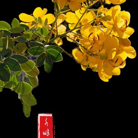 牛年寒冬走南疆  （广西行之一） 2021.12.6