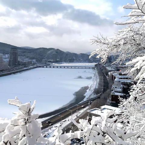 亲朋南北贺新年 （北海行之三） 2022.1.3