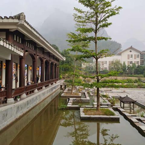 牛年寒冬走南疆 （广西行之二） 2021.12.17