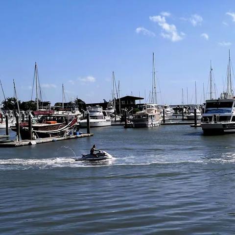 牛年严冬见珠城 （北海行之二）