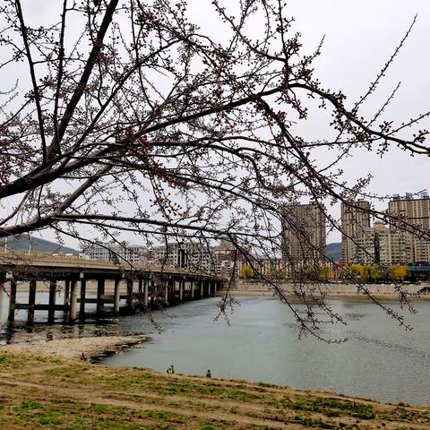 浑江春色，     （2021.4.23）