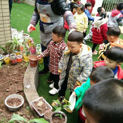 巴南印象上朗幼儿园中班植树节