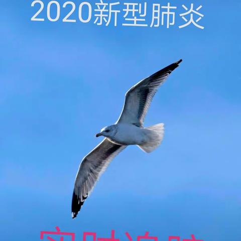 2020年新型肺炎实时追踪