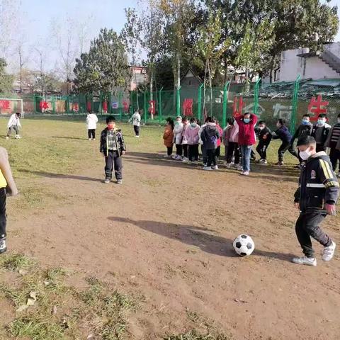 快乐绿荫    “足”够精彩——台陈镇中心小学足球队训练进行时