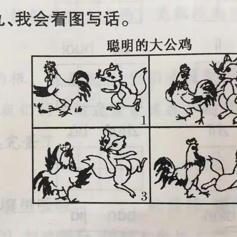 看图写话：《聪明的大公鸡》