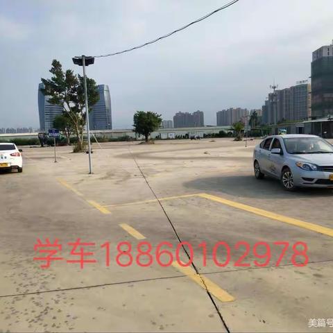 梧桐树:🚗 培训18860102978的美篇