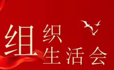 平山区实验教育集团党总支线上组织生活会
