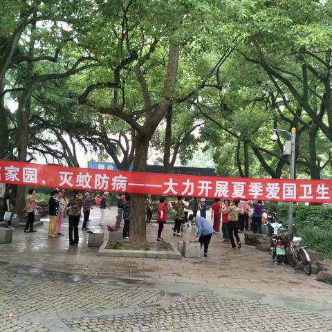 嘉定镇街道开展夏季爱国卫生主题宣传活动