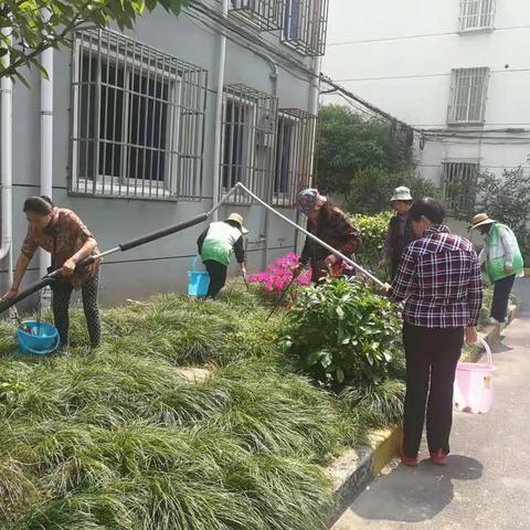 迎五一，嘉定镇街道全面开展爱国卫生综合行动