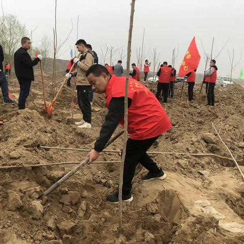 市路灯所积极参加“植树节”义务植树活动