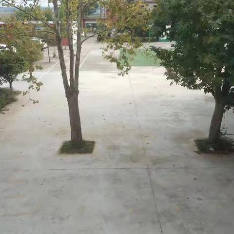 新学期，新气象