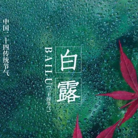 蒹葭苍苍，白露为霜