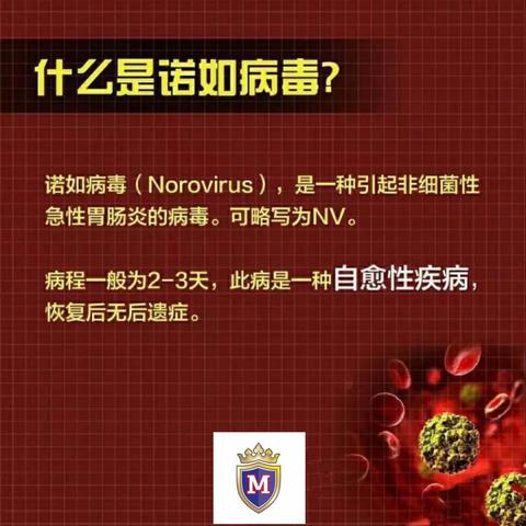 🦠麦迪森国际幼儿园警惕诺如病毒，做好幼儿防护。🦠