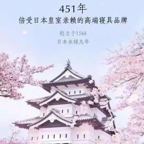 450年历史——西川●记忆凝胶枕