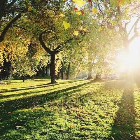 诗歌·写在十月