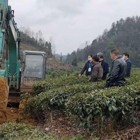 朝阳村以建好坝区助推产业结构调整落地见效