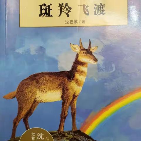 实验小学4.1【启航班】 高一涵 家庭读书会第三十三期