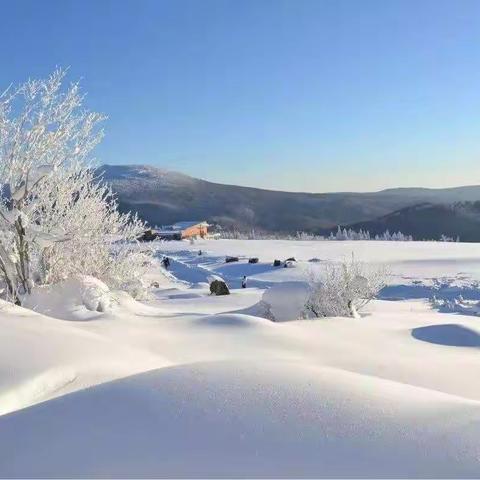 雪❄️花🌹