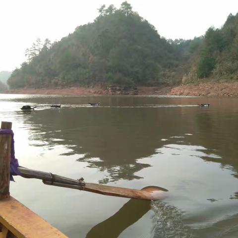 家里的世外桃源:泸溪“天池” ——鱼尾溶水库休闲区三日行