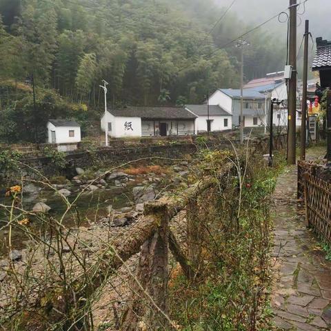 走进画里龙王，赴一场奇幻的非遗之旅——记上墅小学“野土社团”综合实践活动顺利开展