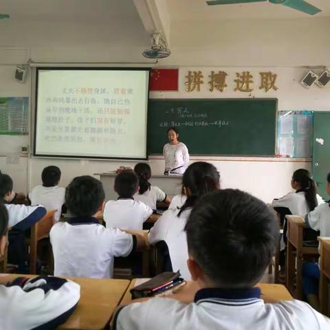 李屋小学语文教师倾力书写高效课堂之篇章